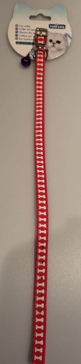 Alles voor je kat! Een leuke halsband in een mooie kleur en een glanzend belletje. De gaatjes zitten al in de halsband dus deze is handig om te doen bij je huisdier. Ook erg leuk om dit cadeau te geven aan iemand die een poes heeft.