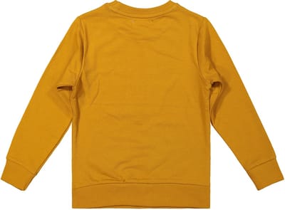 DJ Dutchjeans Jongens Sweater Go Away Camel