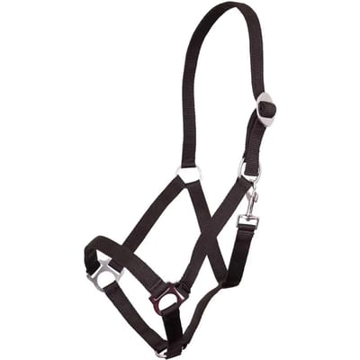 Propyleen halster Premiere Equitation