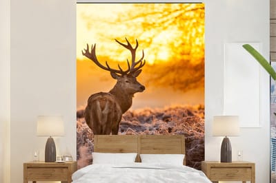 Behang - Fotobehang Hert - Dieren - Zonsondergang - Winter - Heide - Natuur - Breedte 200 cm x hoogte 300 cm