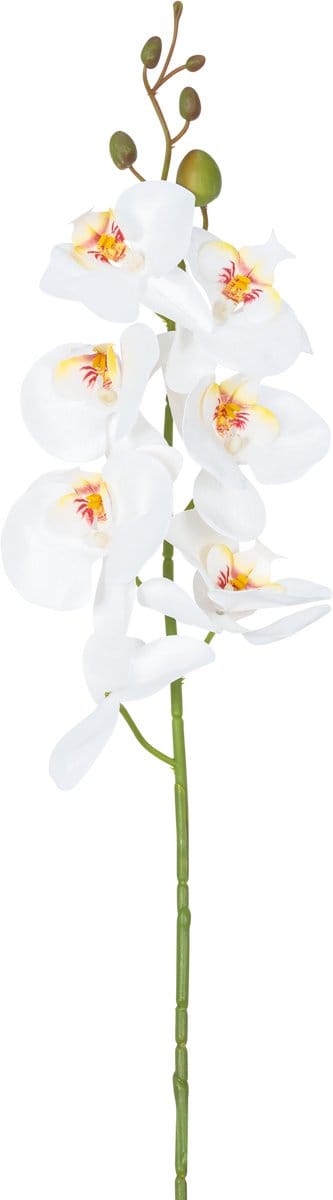 Easyplants | Kunstbloem Orchidee 84 cm wit | Zijde | Nepbloemen | wit | Onderhoudsvrij | Kant-en-klaar