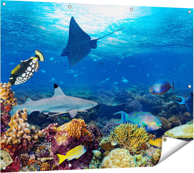 Gards Tuinposter Vissen met Koraalrif in de Oceaan - 120x90 cm - Tuindoek - Tuindecoratie - Wanddecoratie buiten - Tuinschilderij