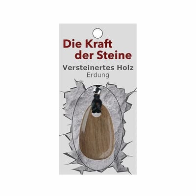 Hanger met Krachtsteen Versteend Hout