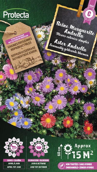 Protecta Bloemen zaden: Aster Andrella gemengd