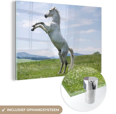 MuchoWow® Glasschilderij 60x40 cm - Schilderij acrylglas - Paard - Steigeren - Natuur - Foto op glas - Schilderijen