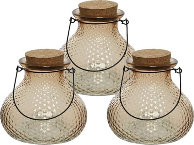 Decoris wespenvanger/wespenval - set 3x - glas - lichtbruin - D14 x H13 cm