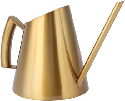Roestvrijstalen Gieter - Metalen Waterkan - Planten Water Geven - Lange Precisie Tuit - 900 ML - Zilver