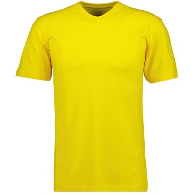 Ragman T-Shirt Uni V-Neck Single Jersey Lemon Yellow / male