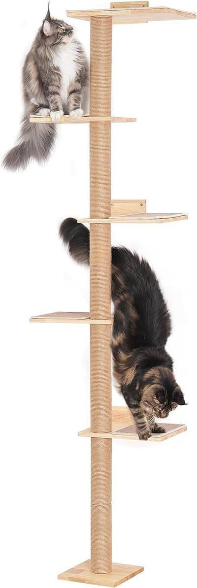 Famanu - Hoge kattenboom voor muur met 40 cm grote baars, 5 niveaus vloer tot plafond kattentoren met vloerbedekking, 204 cm kattenkrabpaal voor grote volwassen katten klimmen, uitkijken en spelen