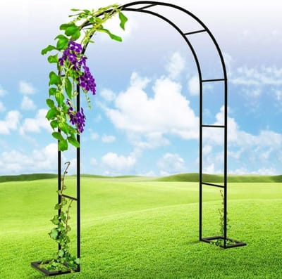 Tuinboog - Bloemenboog Pergola - Decoratie Tuin - Weerbestendig Metaal - 280x250 cm - Zwart