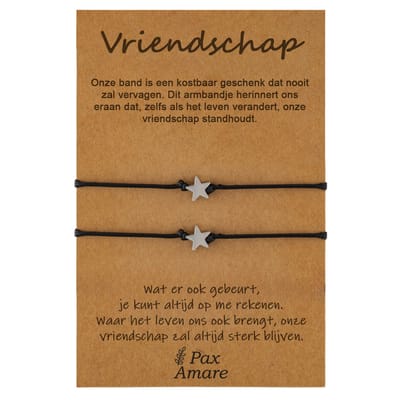 Vriendschapsarmbandjes voor 2 "Vriendschap" - Sterretjes - BFF Armbandjes met Cadeau Kaartje - Zilverkleurig - Elastisch Verstelbaar - Pax Amare