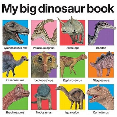 My Big Dinosaur Book Casebound - ROGER PRIDDY