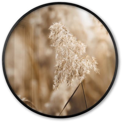 Poster in lijst Rond - Fotolijst 60x60 cm - Posters - Riet - Plant - Natuur - Beige - Ronde posterlijst zwart - Decoratie - Wanddecoratie woonkamer - Muurdecoratie slaapkamer