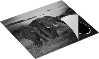 Chefcare Inductie Beschermer Olifanten in het Wild - Zonsondergang - Zwart Wit - 60x50 cm - Afdekplaat Inductie - Kookplaat Beschermer - Inductie Mat