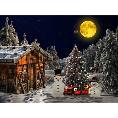 Diamant borduurwerk cartoon sneeuwpop kerstboom strass schilderij behang kerstversiering 20X30CM black
