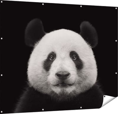 Gards Tuinposter Panda - Pandakop - 150x120 cm - Tuindoek - Tuindecoratie - Wanddecoratie buiten - Tuinschilderij