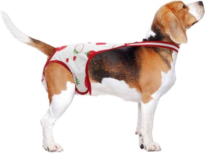 Wasbare en herbruikbare luiers voor honden, fysiologische slipjes voor puppy's, comfortabel ondergoed voor huisdieren, groot formaat, met verstelbare bandjes, rood en wit