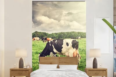 Behang - Fotobehang Koeien - Weiland - Natuur - Dieren - Landschap - Breedte 160 cm x hoogte 240 cm
