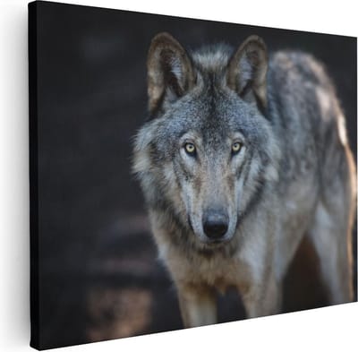 Artaza Canvas Schilderij Wolf - 80x60 cm - Wanddecoratie Dieren - Muurdecoratie Bos - Schilderijen Op Canvas