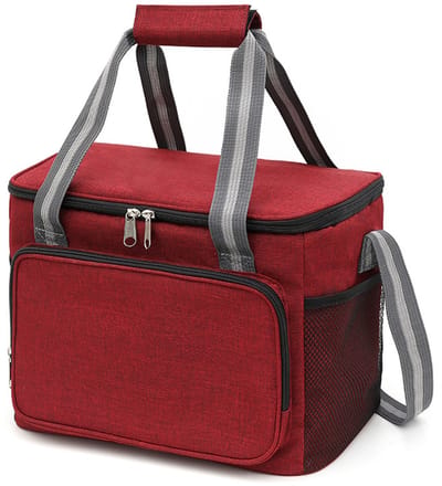 Koeltas 15 L - Koelrugzak - Koeltasje Klein - Opvouwbare Lunchtas Koelbox - Waterdicht Isolerend - voor Vers Voedsel - Verstevigde Draaghandvatten - 600D Oxford - 6-8 Uur - Bordeaux