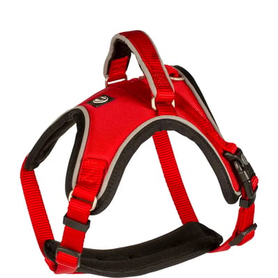 Duvoplus - Hondentuigje - Hond - Explor West Harnas Nylon Xxl 80-100cm/25mm Rood - 1st