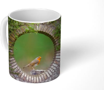 Mok - Koffiemok - Vogel - Doorkijk - Roodborstje - Mokken - 350 ML - Beker - Koffiemokken - Theemok