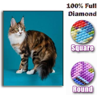 Kerstcadeaus voor huisdecoratie 5D DIY diamant schilderij kat volledige diamant diamant borduurwerk 20X30CM black