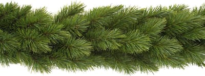 Triumph Tree Camden Guirlande 180 cm - Kerstversiering voor Binnen met Natuurlijke PVC-naalden - Kerstslingers Stijlvol te Combineren met Diverse Items - Decoratie voor Kerst Groen - Ø33 cm - Groen