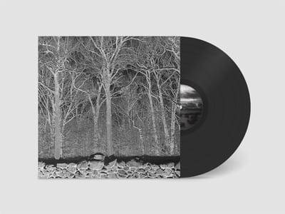 Pile - Sunshine And Balance Beams (LP)