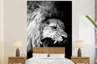 Behang - Fotobehang Leeuw - Portret - zwart - Wit - Dieren - Breedte 195 cm x hoogte 300 cm