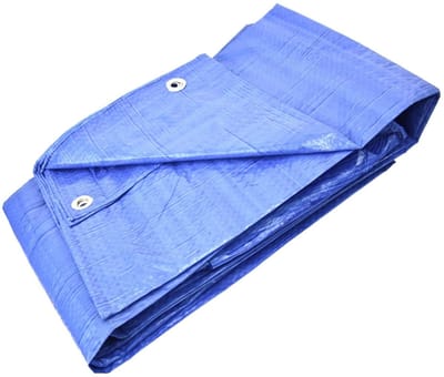 Allecto - Dekzeil - Beschermend dekzeil - Blauw - Veelzijdig - 2m x 3m - Geschikt voor tuin, bouw en transport - 60 g/m²