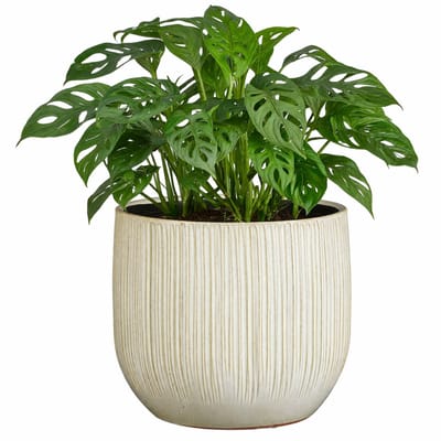 Mica Decorations Plantenpot - keramiek - wit glans / ribbels - D29 x H25 cm - bloempot Pablo