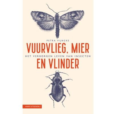 Vuurvlieg, Mier En Vlinder - Petra Vijncke