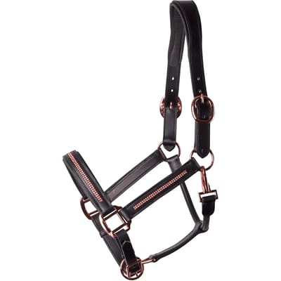 HARRY'S HORSE HALSTER LEDER METALLIC Zwart-roségoud