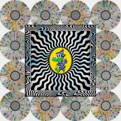 King Gizzard & The Lizard Wizard LP - Field of Vision `25 - voor Geen - standaard