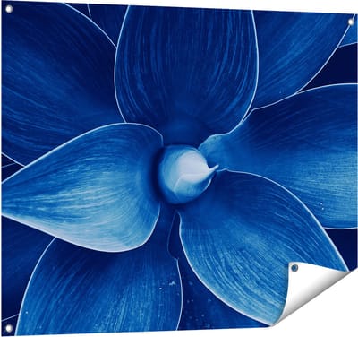 Gards Tuinposter Blauwe Agave Plant - Bloem - 100x80 cm - Tuindoek - Tuindecoratie - Wanddecoratie buiten - Tuinschilderij