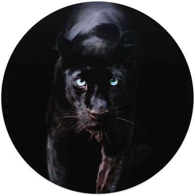 Plexiglasschilderij Zwarte Panter - Ø 50 - Acrylglas - REINDERS