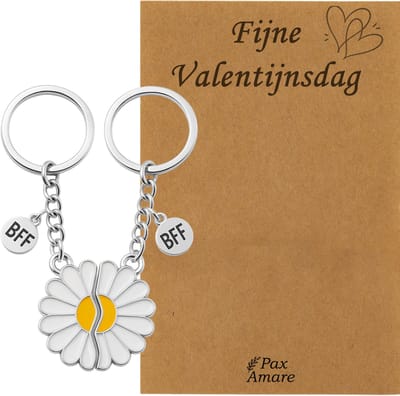 Koppel Sleutelhanger voor 2 'Fijne Valentijnsdag' - Magnetische Bloem - Sleutelhanger set op Cadeau Kaartje - Zilverkleurig - Vriendschap of Relatie Symbool - Pax Amare