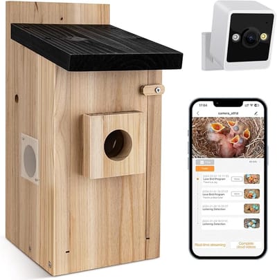 Thuys – Vogelhuisje met Camera – Vogelvoederhuisje – AI Vogel Herkenning – Met App – Met Verfset – Microfoon – Bestseller – Hout