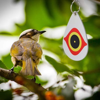 Dailygoods- Ophangmateriaal Vogelafschrikker - PVC Vogelafschrikker - Duurzaam Afschrikmateriaal - Multifunctionele Boomgaarddecoratie - Effectieve Tuinbescherming - Geschikt voor Balkon en Fruitbomen