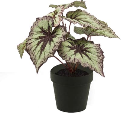 Emerald - Kunstplant in pot Begonia grijs/paars 25cm - Kunstplant voor binnen