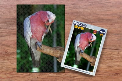 Puzzel Rood gekleurde kaketoe op een houten tak - Legpuzzel - Puzzel 1000 stukjes volwassenen