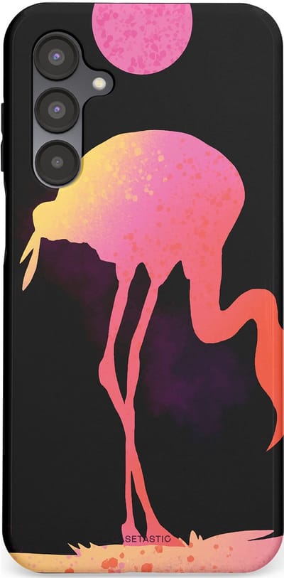 Casetastic Hoesje Geschikt voor Samsung A16 - Stijlvolle Beschermende Duo-layer Case - Silhouet Flamingo