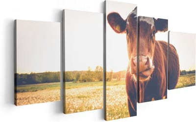Artaza Canvas Schilderij Vijfluik Koe In De Wei Tijdens Zonsondergang - 100x50 - Foto Op Canvas - Canvas Print