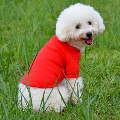 NIEUW Comfortabel Zomerhemdje voor Puppy Hond Kat Kleding Kostuum Kleding T-shirt Duurzaam Huisdier Accessoire S