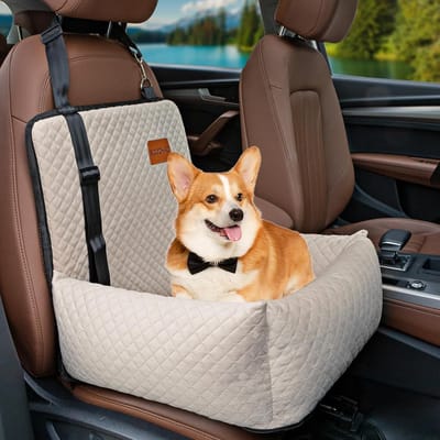 Honden autostoel - Booster zitje - Veilig reizen - Eenvoudig te reinigen - 53x53x18 cm - Wit