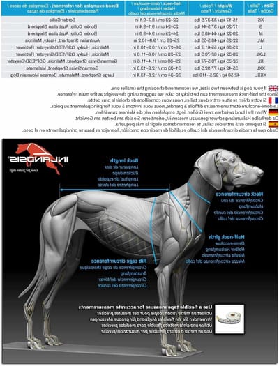 Hondentuig - Harnas - Actieve Honden - Versterkte Stabiliteit - Large - Oranje/Zwart