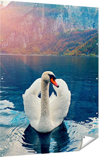 Gards Tuinposter Zwaan op het Water in de Bergen - 120x160 cm - Tuindoek - Tuindecoratie - Wanddecoratie buiten - Tuinschilderij