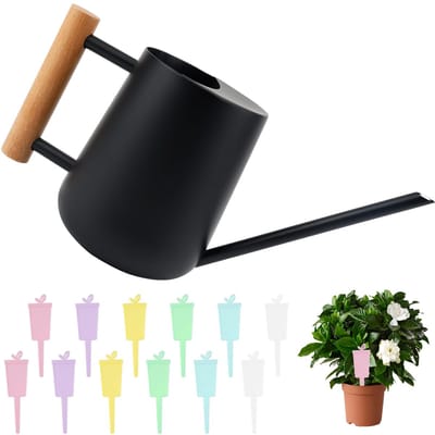 Gieter 1L roestvrij staal zwarte gieter voor kamerplanten, vintage bloemengieter met lange uitloop en comfortabele handgreep voor vetplanten, kamerplanten en potbloempot
