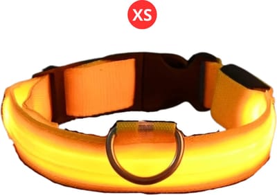 Nivard Lichtgevende Halsband - Verlichte Halsband - Lichtgevend - Hond - Kat - Lampje - Hondenhalsband Led - Nekband - Geel XS